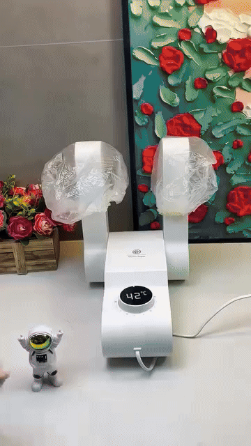 Foldable Electric Shoe Dryer with Timer