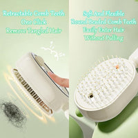 Electric Spray Massage Hair Comb